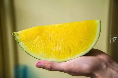低频反击黑粉瞎吃瓜,瞎吃瓜背后的真相与反思