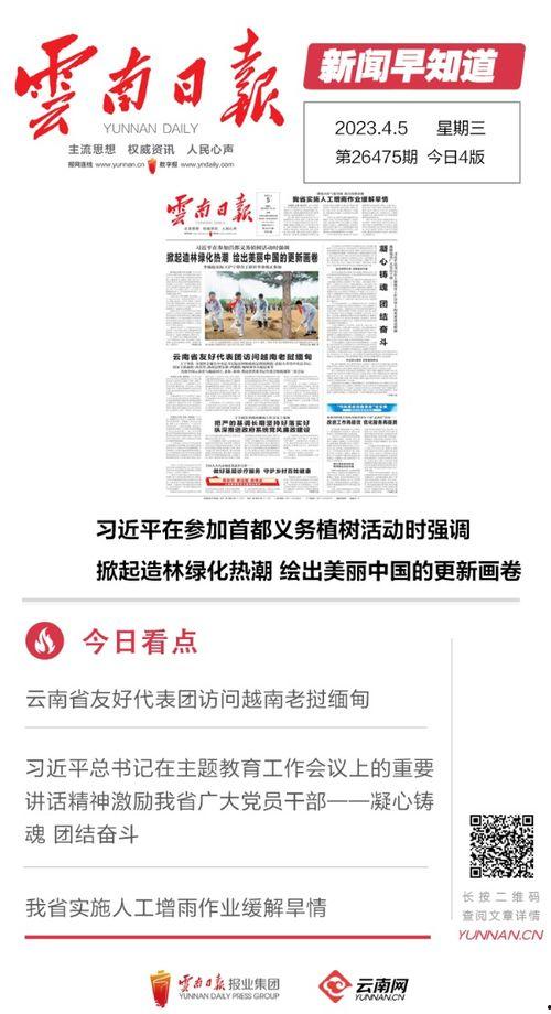 丽水今日热瓜新闻报道内容,聚焦今日热点事件，揭秘背后真相