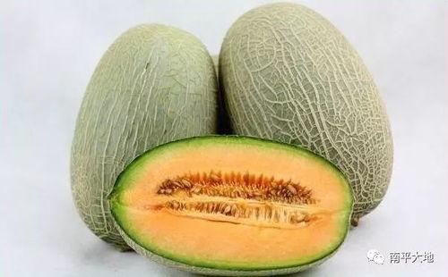 今日头条哈密瓜汁,哈密瓜汁，清爽一夏的天然饮品