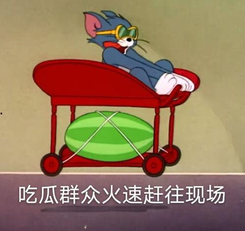 吃瓜爆料专用,吃瓜爆料背后的真相大揭秘