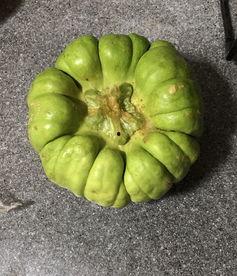 西昌今日吃瓜最新消息,揭秘今日热点事件背后的真相