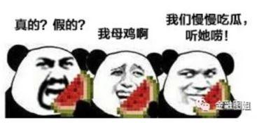 打全名拉黑吃瓜,一场网络全名狂欢背后的真相
