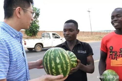 打全名拉黑吃瓜,一场网络全名狂欢背后的真相