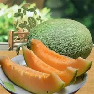 商丘310市场今日哈密瓜,新鲜上市，甜蜜来袭