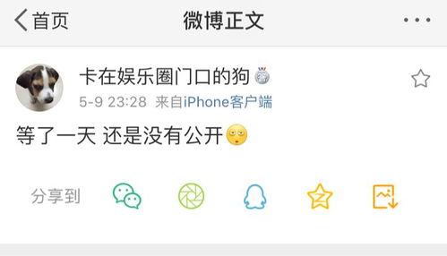 91爆料网在线吃瓜,在线吃瓜，揭秘娱乐圈幕后真相