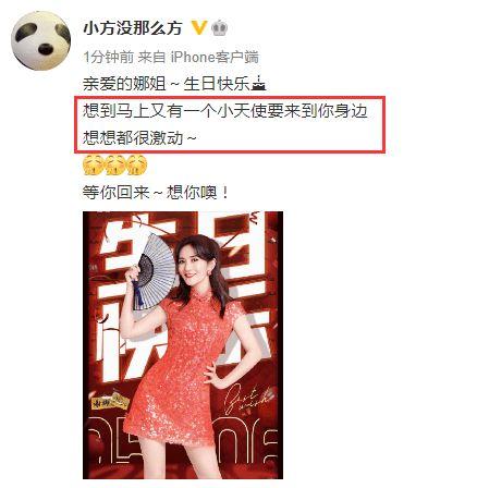 吃瓜爆料娜娜,娱乐圈幕后真相大揭秘