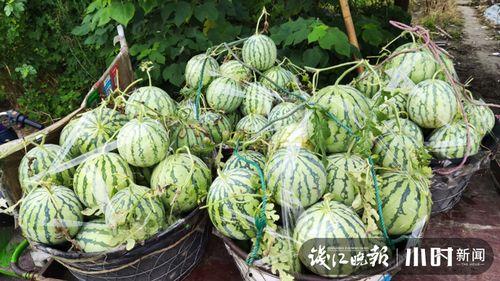 苏州吃瓜爆料是真的吗,真相揭秘，是真是假？