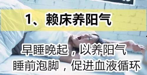 今日份麻瓜生活文案,揭秘魔法世界外的凡人生活