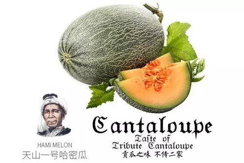 乌拉吃瓜爆料是真的吗,真相揭秘，是真是假？