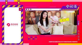 瓜妹今日访谈节目视频播放,揭秘幕后故事与真实心声