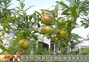 瓜州今日新鲜事,聚焦民生热点，展现发展新貌