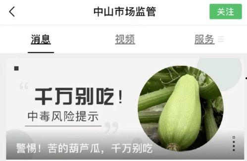 黑高瓜可以吃吗有毒吗,食用安全与毒性揭秘