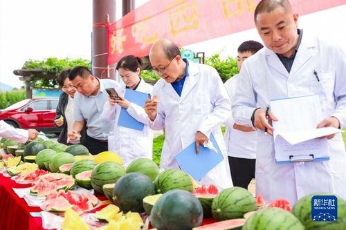 吃瓜论坛爆料辽宁,吃瓜论坛揭秘惊人内幕