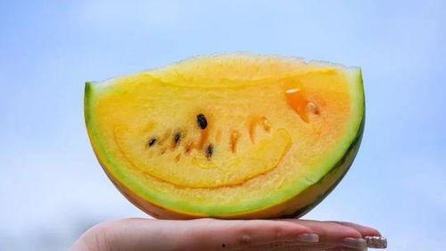 云南黑瓜可以吃吗有点苦,苦中带甘，探寻地方特色美食之谜