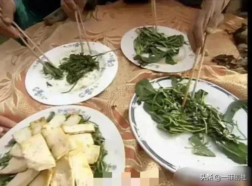 桐乡吃瓜爆料,揭秘当地热点事件背后的真相