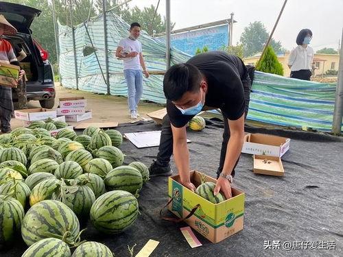 宁夏瓜今日市场报价,新鲜瓜果价格走俏，市场供需两旺”