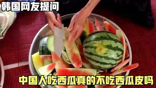 中韩吃瓜爆料是真的吗