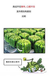 吃瓜黑历史正能量图片高清