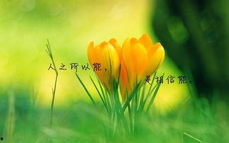 吃瓜黑历史正能量图片高清