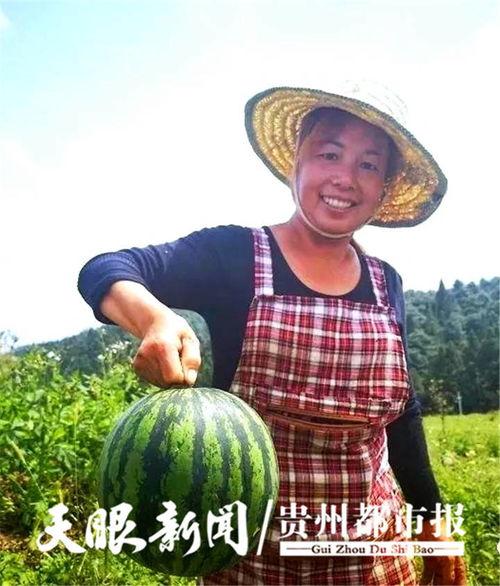 贵阳吃瓜爆料,最新爆料一网打尽