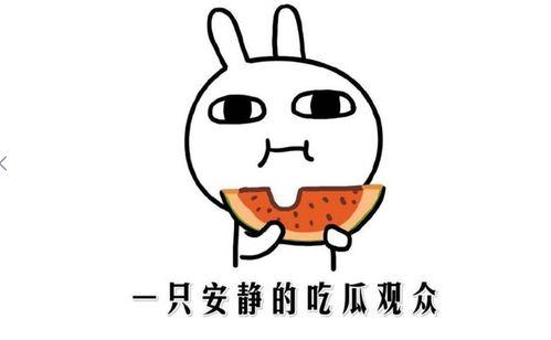 抖音网红黑料吃瓜,吃瓜群众热议背后的真相