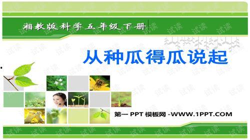 校园爆料吃瓜ppt,揭秘吃瓜PPT背后的热点事件