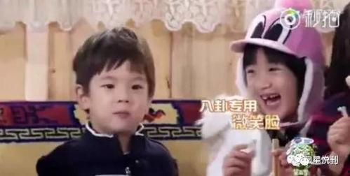 杨幂吃瓜八卦爆料,揭秘娱乐圈背后的真相与传闻