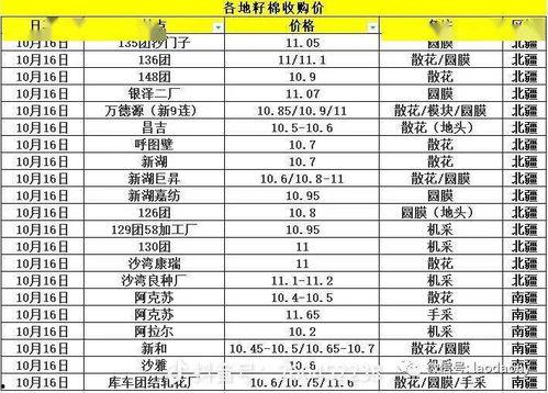 瓜州今日棉价行情查询,实时数据揭示市场动态