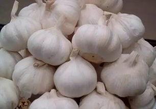 广州今日的瓜,揭秘城市热点事件背后的故事
