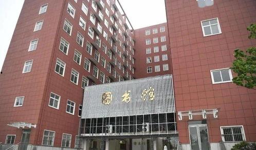 周口小吊瓜今日行情,丰收喜人，价格稳中有升”