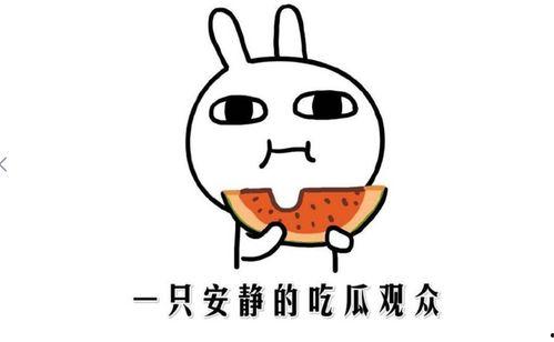 热门黑瓜吃料,潮流美食背后的故事与魅力