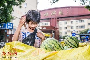 洛阳今日的瓜,揭秘城市新鲜事
