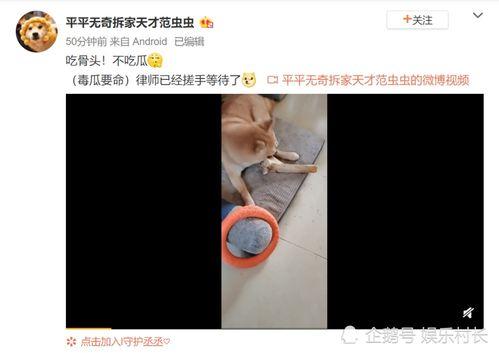 男网红吃瓜爆料视频播放,吃瓜爆料视频背后的惊人播放量揭秘