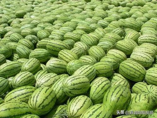 吃瓜爆料每日大瓜网红,吃瓜爆料，每日大瓜新鲜出炉！