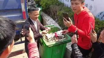 横店吃瓜爆料事件真相,揭秘背后真相与争议