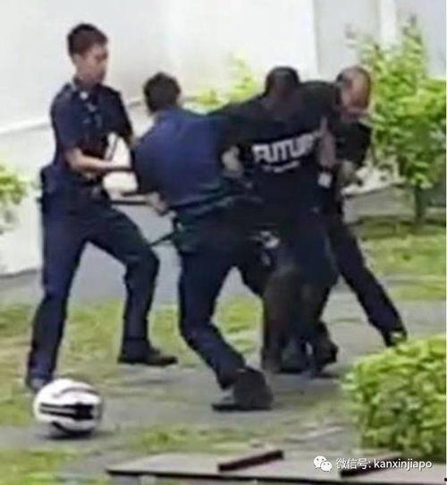 警察吃瓜爆料事件视频,揭秘事件背后惊人真相