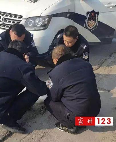 警察吃瓜爆料事件视频,揭秘事件背后惊人真相