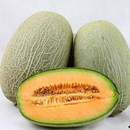 黑妹吃哈密瓜图片高清大图,黑妹畅享哈密瓜美味时光