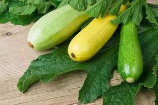 尿酸高痛风可以吃黑蜜瓜,黑蜜瓜助力健康生活