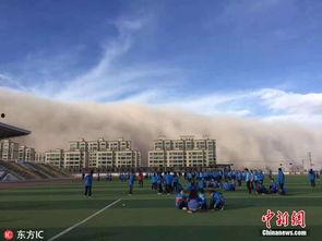 甘肃张掖瓜州今日新闻,张掖乡村振兴新篇章