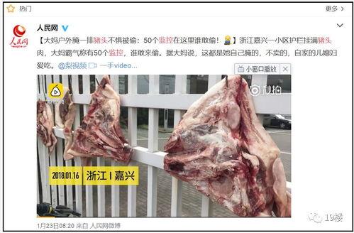 猪头吃瓜爆料图片高清大图,高清大图揭秘网络热议瞬间