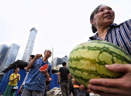 朝阳群众爆料吃瓜事件,吃瓜事件背后的真相与热议