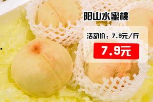 小蜜瓜今日价格行情最新,今日市场动态一览