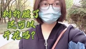 51吃瓜群众爆料阿朱,阿朱背后的惊人真相