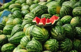 吃瓜黑料精品福利,吃瓜黑料精品福利大放送