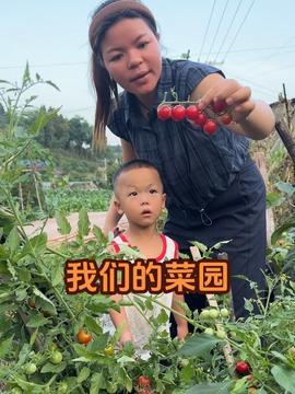 今日头条梅梅吃瓜,揭秘娱乐圈最新热点事件