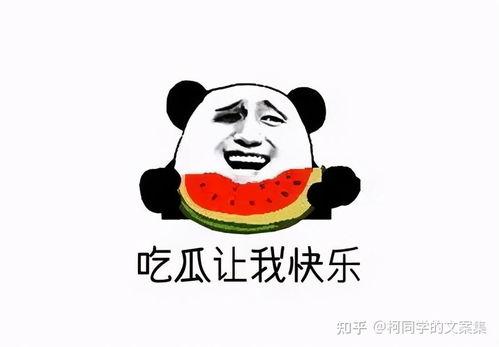 爆料吃瓜文案搞笑图片高清,揭秘高清搞笑爆料图背后的笑料人生