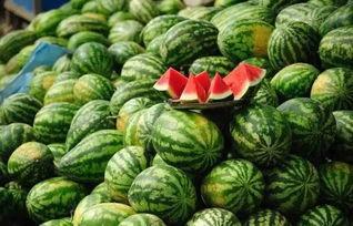 黑料吃瓜网红戚佳丽,从网红到黑料焦点，揭秘吃瓜背后的真相