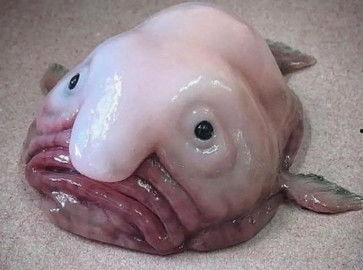 吃瓜中国黑料,黑料背后的真相与反思