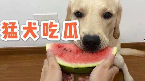 吃瓜不拉黑,轻松围观，不拉黑，快乐生活